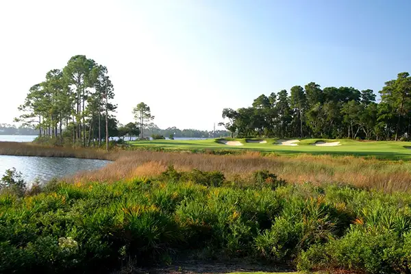 Golfing the Emerald Coast: Exploring Florida's Panhandle Shark’s Tooth Golf Course