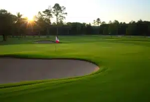 Close Up of a Beautiful Golf Course in Winter