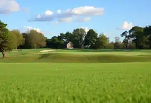 Close-up of a Stunning Golf Course