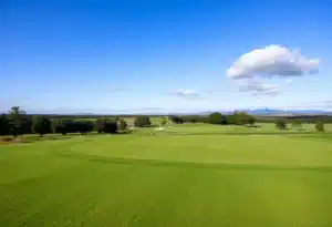 Close up of a beautiful golf course