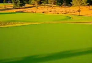Close-up of a beautiful golf course featuring vibrant green fairways