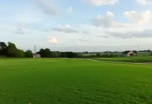 Close Up of a Beautiful Golf Course