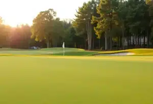 Close-up of a beautiful golf course
