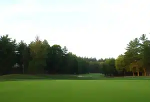 Close up of a beautiful golf course