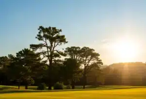 Close up of a beautiful golf course with vibrant green grass and clear skies.