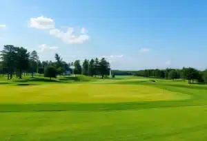 Close up of a beautiful golf course with lush greenery