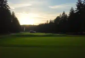Close-up of a beautiful golf course surrounded by nature