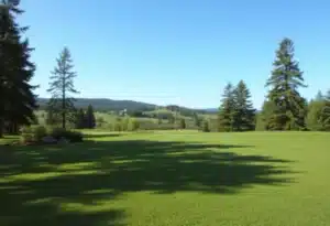 Close Up of a Beautiful Golf Course