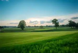 Close Up of a Beautiful Golf Course