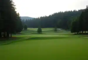 Close-Up of a Beautiful Golf Course