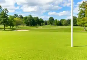 Close Up of a Beautiful Golf Course