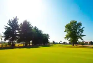 Close-up view of a stunning and vibrant golf course