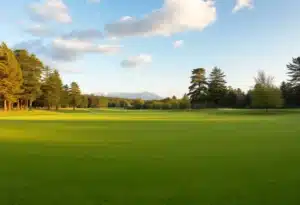 Close Up of a Beautiful Golf Course