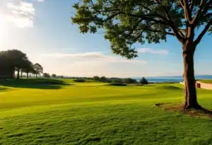 Beautiful golf course with vibrant greens and blue skies